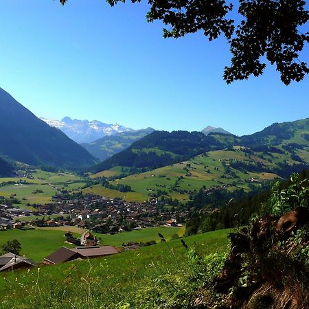 Sonnegg Hotel Zweisimmen Bagian luar foto