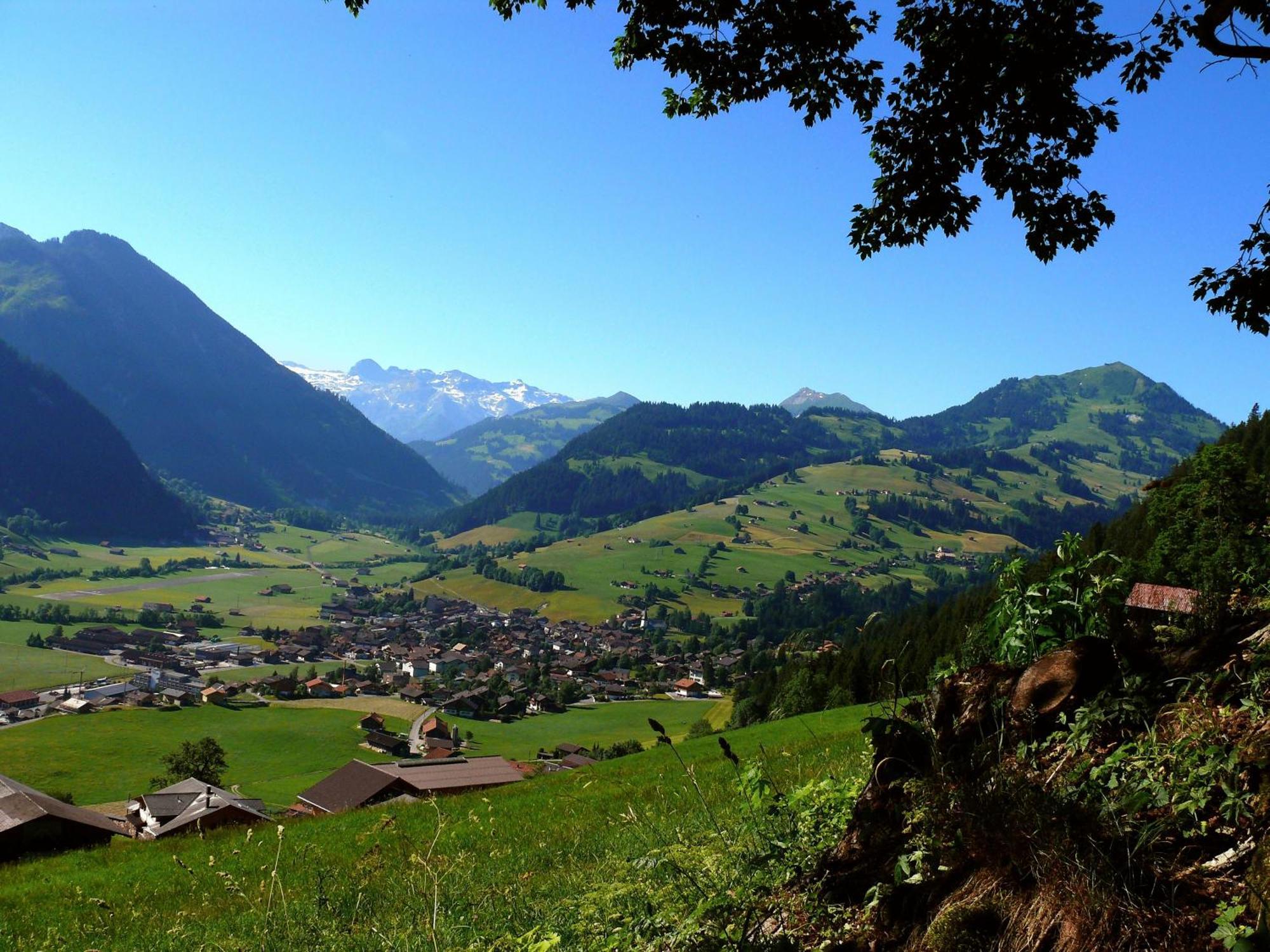 Sonnegg Hotel Zweisimmen Bagian luar foto